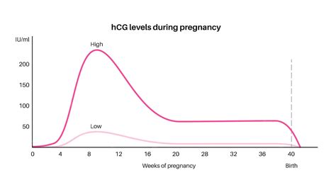 Gonadotrofina Coriônica Humana Hcg - Nível de gonadotrofina coriônica humana durante a gravidez hcg no corpo ...