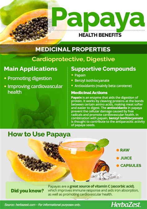 Infographic: Papaya | HerbaZest