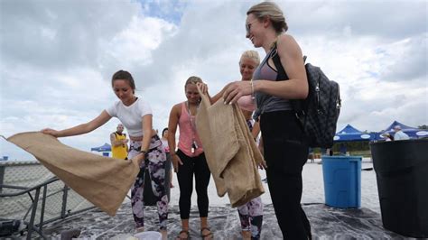 Beach Cleanups