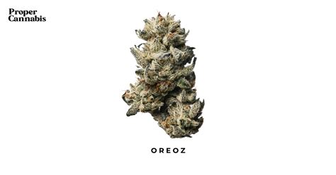 Oreoz Strain | Proper Cannabis