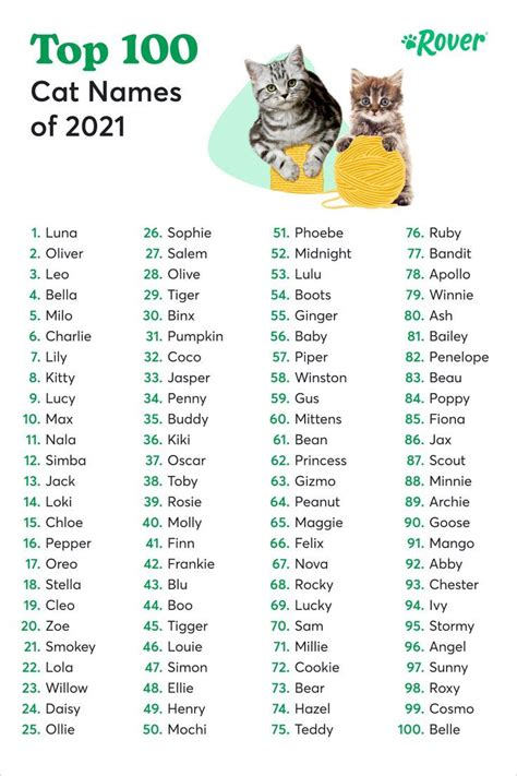 The Top 100 Cat Names of 2021