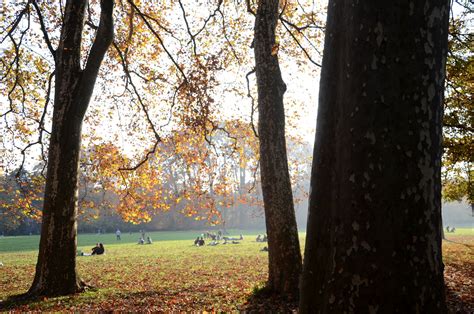 Le parc de la Tête dOr lun des plus grands de France VisiteLyon fr