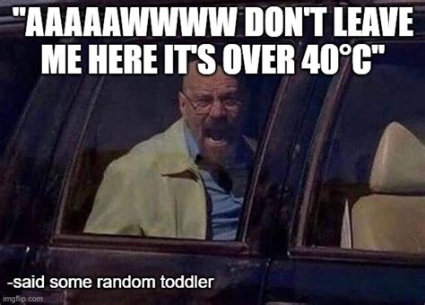 walter white screaming at hank Memes & GIFs - Imgflip