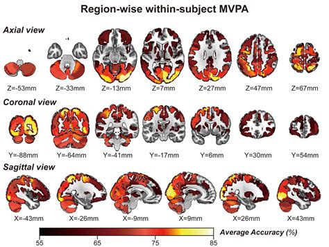 Frontiers Decoding Spatial Memory Retrieval In Cubical Space Using