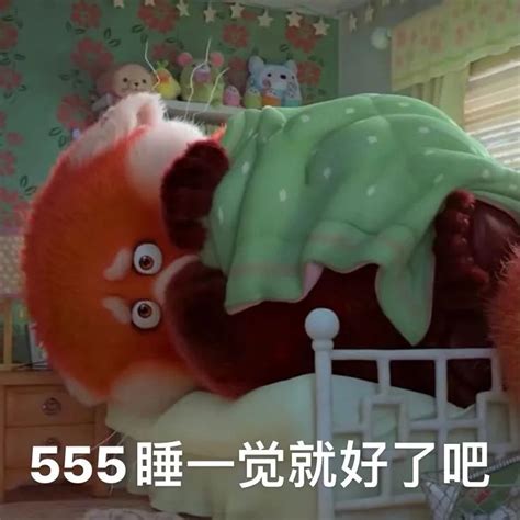 555睡一觉就好了吧表情包 青春变形计、小红熊猫、可爱表情包 青春变形计巨可爱的小红熊猫表情包！ 表情联萌