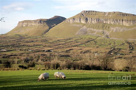 Yeats country County Sligo Photograph by Ros Drinkwater