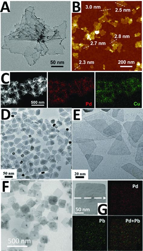 A Tem Image B Afm Image C Df Stem Eds Elemental Mapping Of The