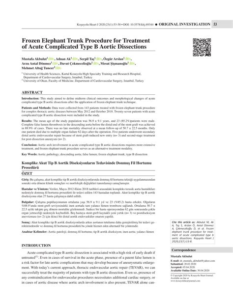 (PDF) Frozen Elephant Trunk Procedure for Treatment of Acute ...