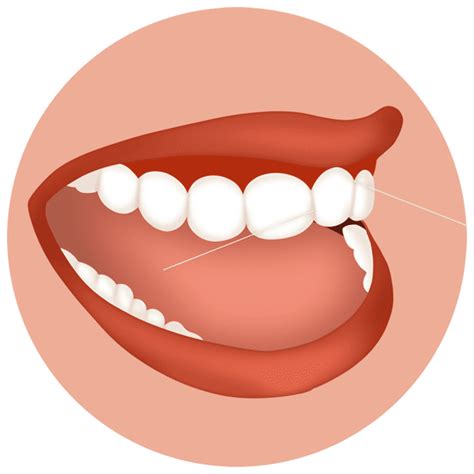 Cómo Cepillarse Los Dientes En 6 Pasos Métodos Y Herramientas