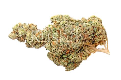 Alien Og Cannabis Strain Delivery And Information Kushfly