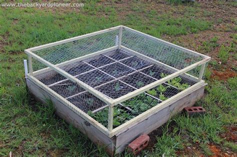 Keep Critters Out Of Your Raised Beds Raised Vegetable Gardens