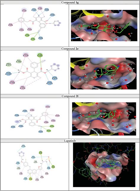 The 2d And 3d Docking Poses Of Compounds 1g 2e 2l And Lapatinib