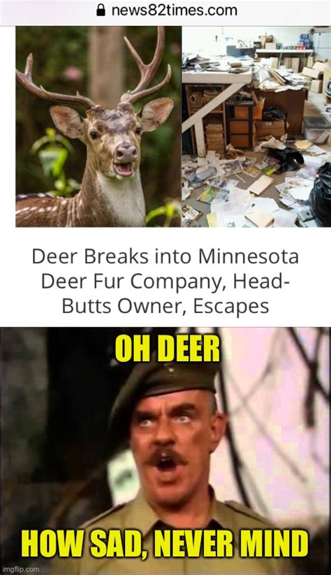 Deer Memes And S Imgflip