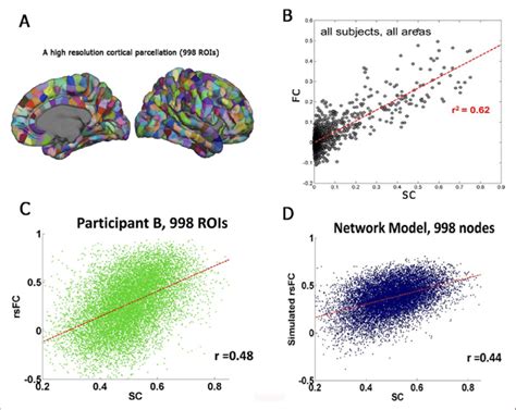 Overall Structural Connectivity SC Functional Connectivity FC