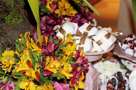 Decor Ch De Lingerie Da Karol Thassia Naves