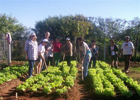 Horta Comunit Ria Passos Para Come Ar Instituto Ecoa O