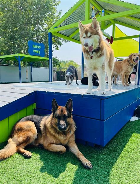 university of wisconsin milwaukee paws 1