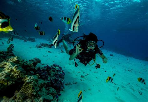 Eleuthera Bora Diving Center (Bora Bora) - All You Need to Know BEFORE ...