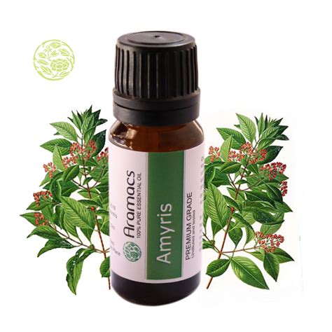 Buy Pure Amyris Essential Oil Benefits Of Amyris Essential Oil