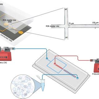 Schematic illustration of the microfluidic device. One input for the ...