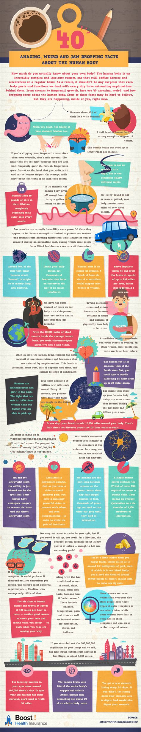 40 Amazing, Weird And Jaw Dropping Facts About The Human Body