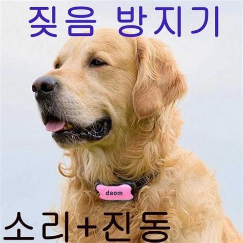 개 짖음 방지 훈련 상황별 원인과 대처 방법 요령 메거진뉴