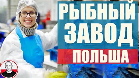 Рыбный завод в Польше #РаботавПольше #рыбныйзавод - YouTube