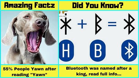 Awesome Facts Everyone Should Know 131 Amazing Factz YouTube