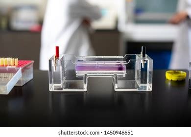 Science Lab Electrophoresis Experiment Scientist Background Stock Photo ... 