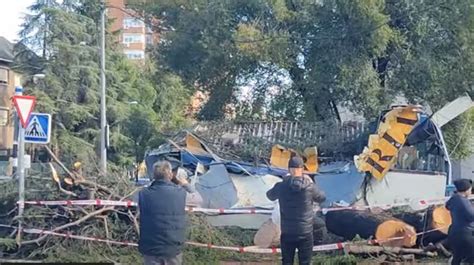 Un árbol Derribado Por El Viento Destroza Una Churrería En Villaverde