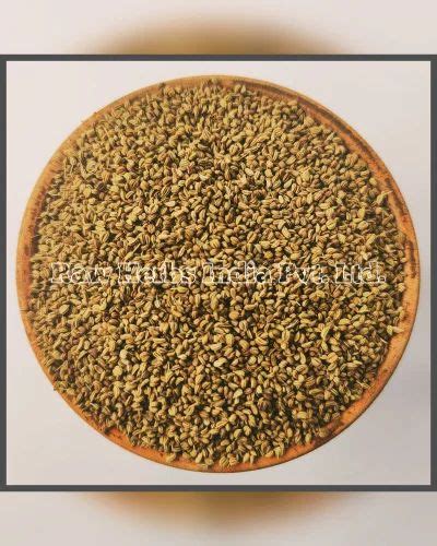 Natural Ajwaine Carom Seeds Carum Copticum Packaging Type Plastic