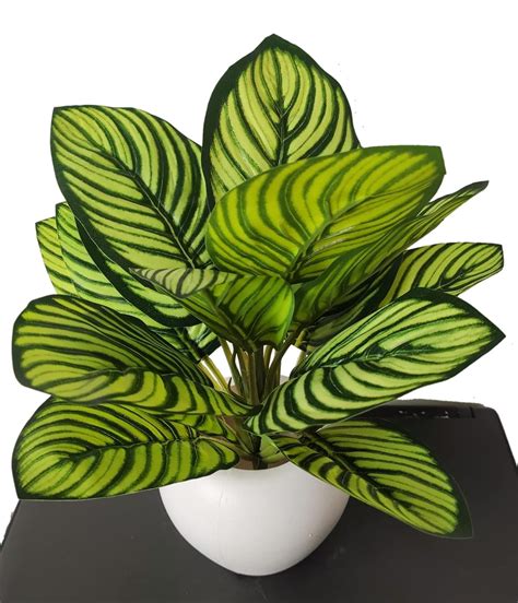 Buy Bk Mart Artificial Calathea Ornata Plant With Pot For Home Office