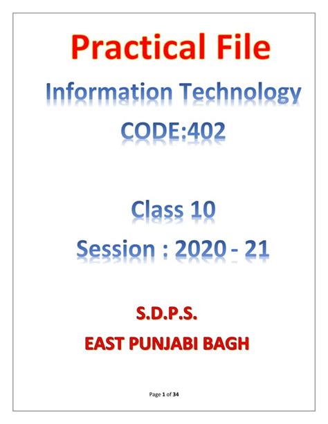 CLASS 10 IT PRACTICAL FILE Pdf