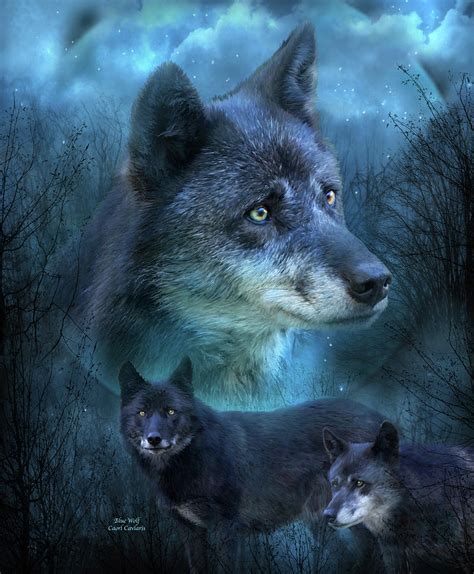 Blue Wolf Mixed Media by Carol Cavalaris - Fine Art America