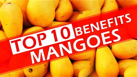 Top 10 Benefits Of Mangoes Top 10 Benefits Of Mango Fruits Amazing Healthy Fruits Mangoe In