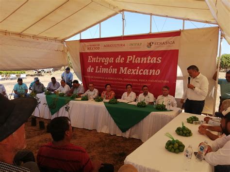 Lo Mejor De La Semana Representaci N Agricultura San Luis Potos