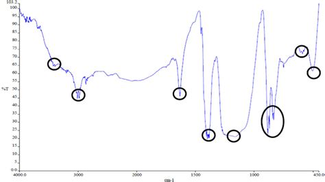 Ftir Spectrum Of Pvdf Co Hfp Tio Membrane After Sulfonation