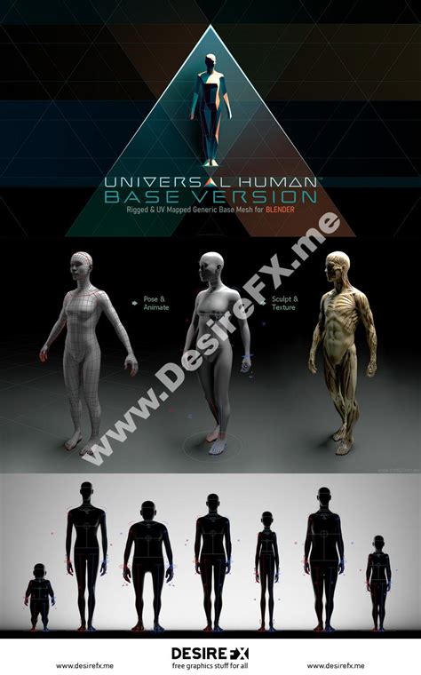 Desire Fx D Models Gumroad Universal Human Rigged Base Mesh