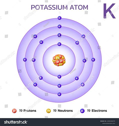 Potassium Atomic Structureconsists 19 Protons 19 Stock Vector (Royalty ...