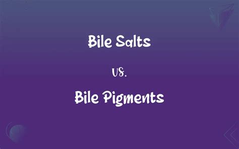 Bile Salts vs. Bile Pigments: What’s the Difference?