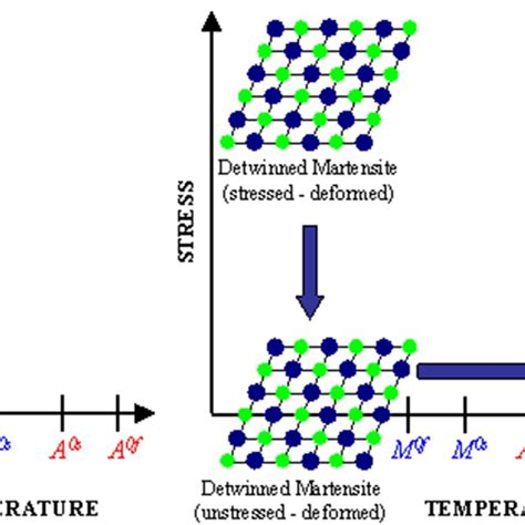 Different phases of shape memory alloy | Download Scientific Diagram