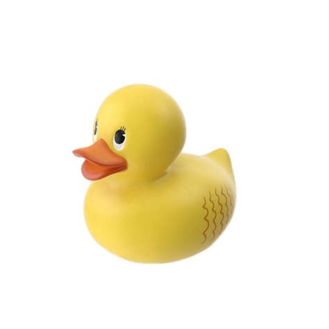 Rubber Duck Png Transparent 71 Transparent Png Of Rubber Duck Images