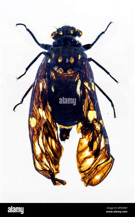 Innen Gesichtet Fotos Und Bildmaterial In Hoher Auflösung Alamy