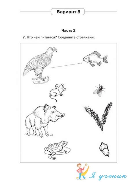 Итоговые комплексные работы 1 класс