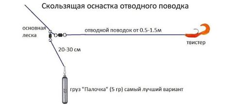 Ловля форели на спиннинг: собираем снасть и осваиваем технику