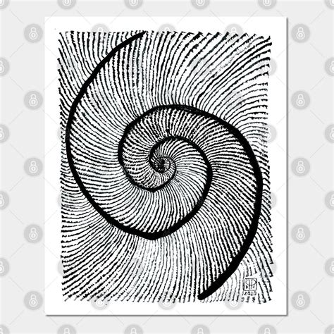 Double Shell Fibonacci Spiral Golden Ratio By Wildchakras Fibonacci