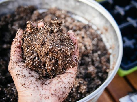 how much perlite to add to potting soil