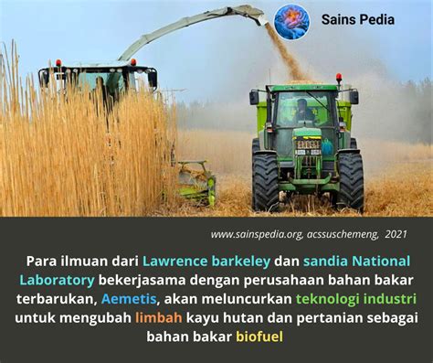 Para Ilmuwan Mengubah Limbah Kayu Keras Dan Pertanian Menjadi Biofuel