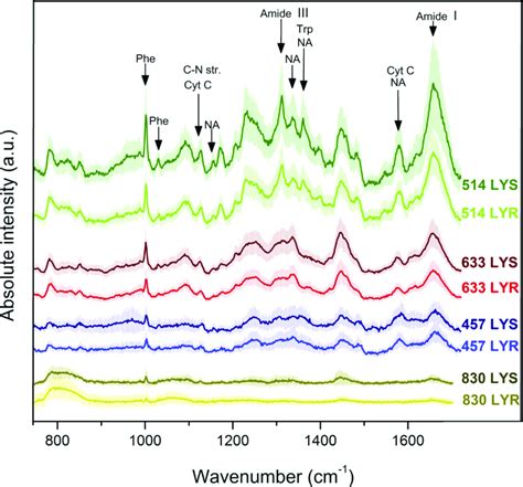 Mean Normal Raman Spectra Of Ly R And Ly S Cells Obtained With 514 Nm Download Scientific