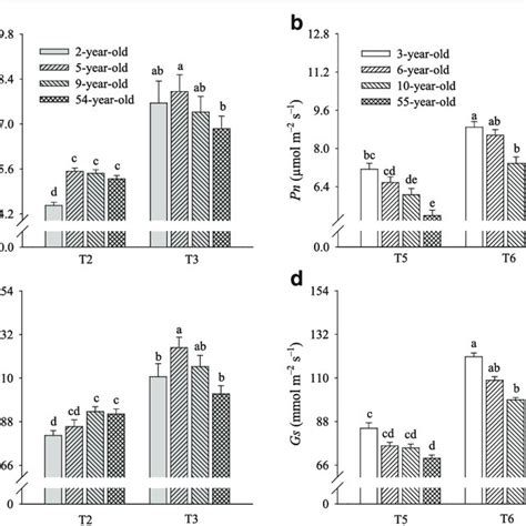 Changes In Leaf Net Photosynthetic Rate Pn And Stomatal Conductance